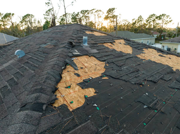 Reliable Chandler, IN Roofing Solutions